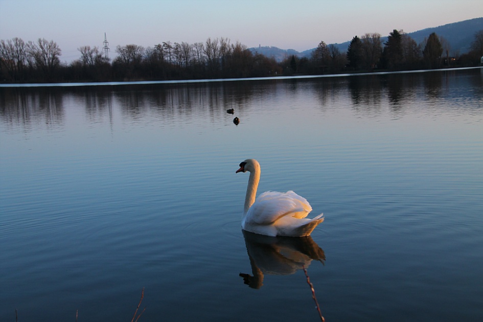 독일-프랑크푸르트 자그마한 호수