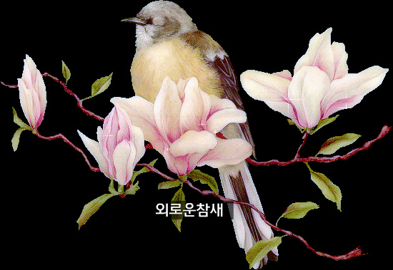 정원