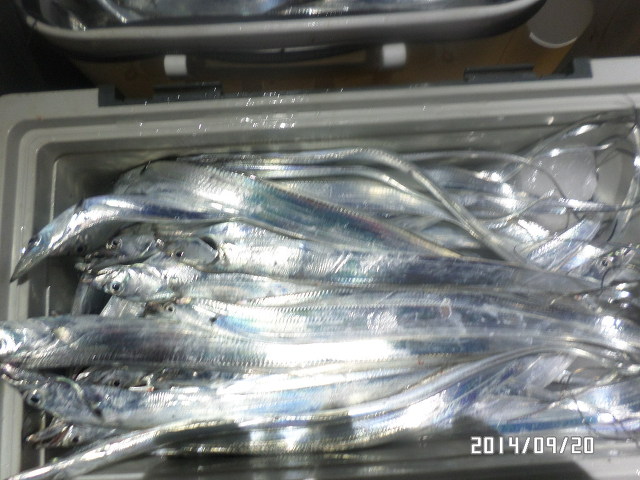 24058B4D541CBB9020CC71