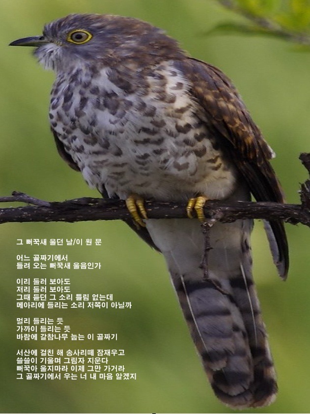 이*원 이미지