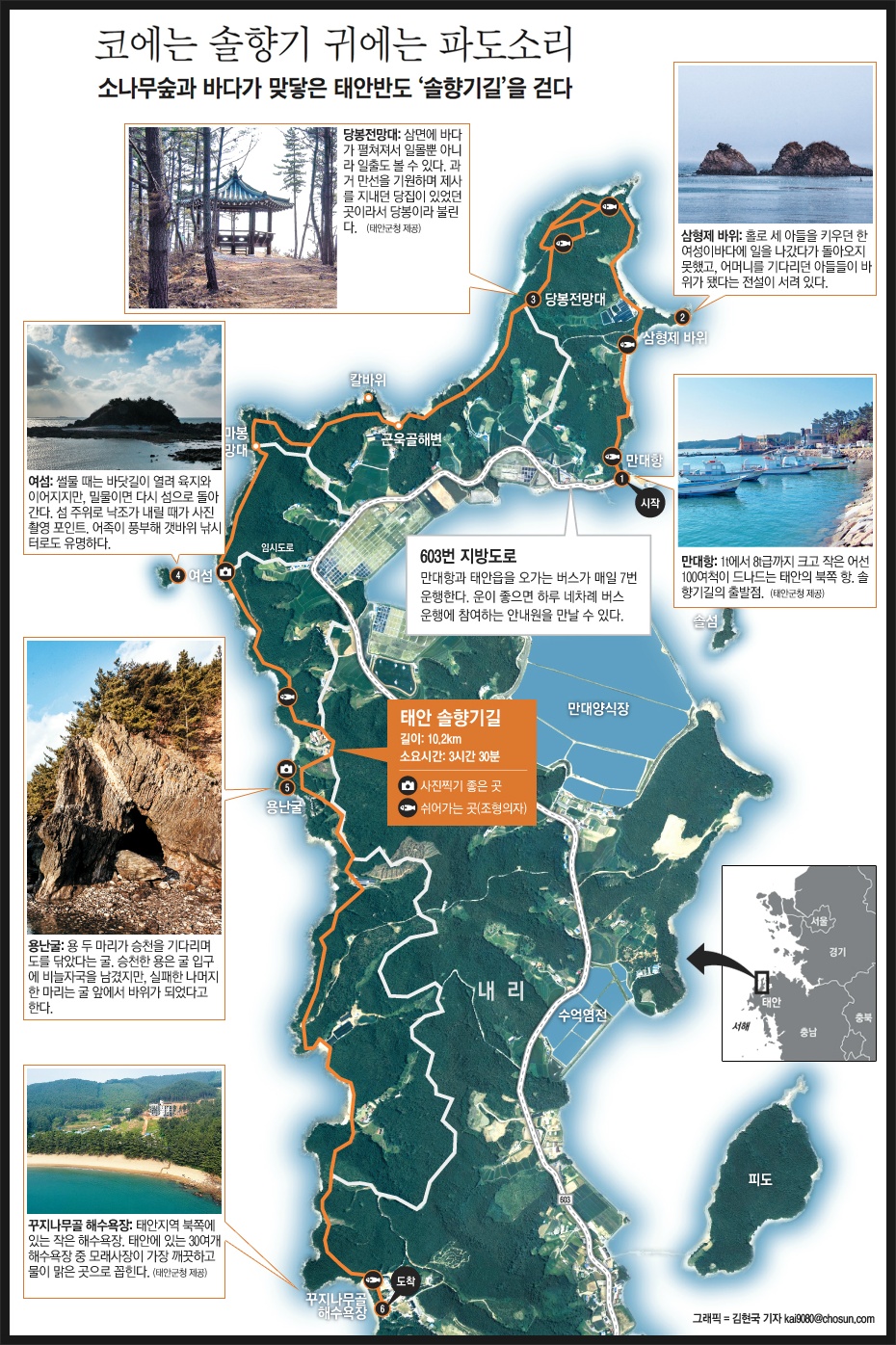 솔향기환경 이미지