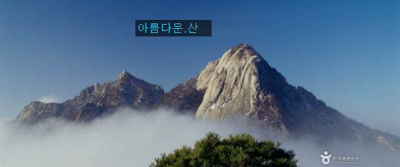 정원