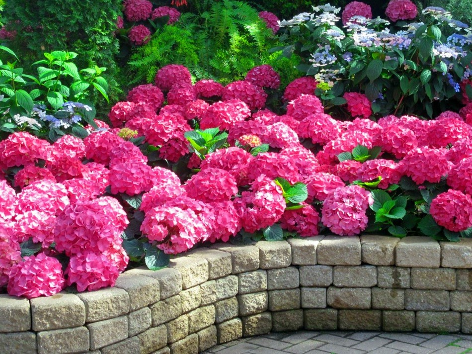 바탕화면(배경화면)으로 사용하기에 좋은 아름다운 정원사진들(Amazing Garden Photos)