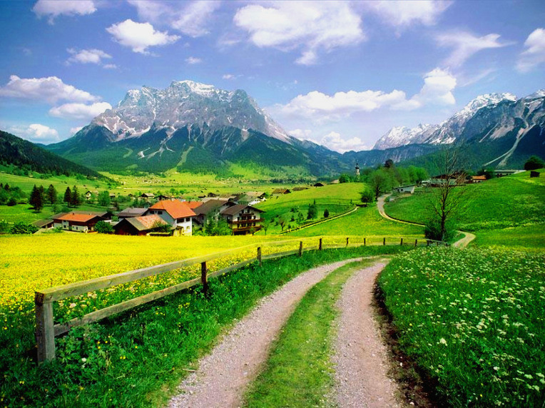 251B614D52A50DF335C3D5