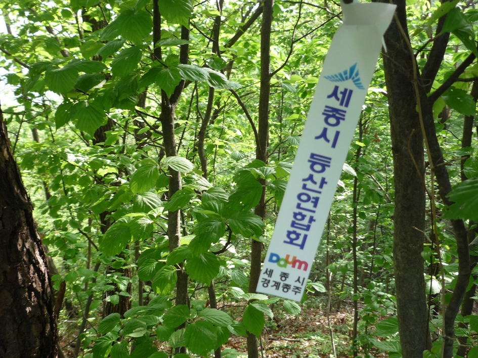 세종주유소 이미지