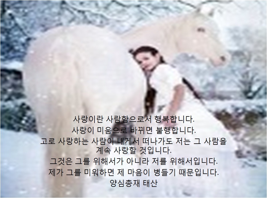 글 사진 