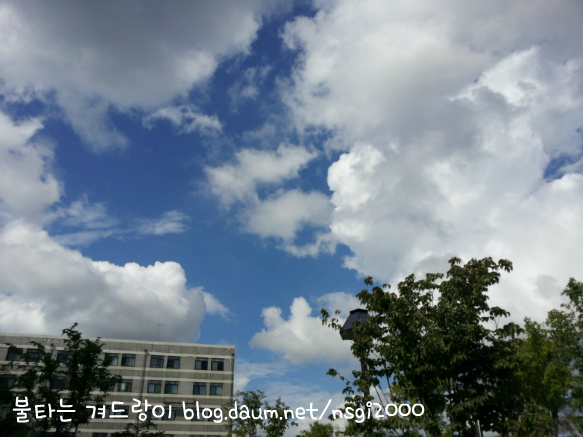 하루 10분 프로젝트