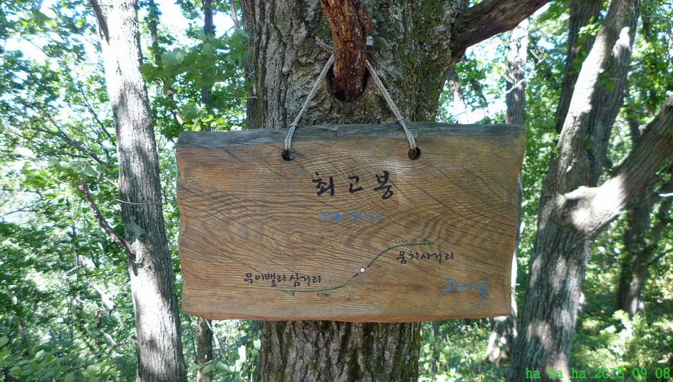 평창봉평메밀 이미지