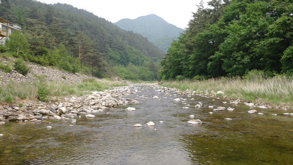 샘골솔밭야영장 이미지
