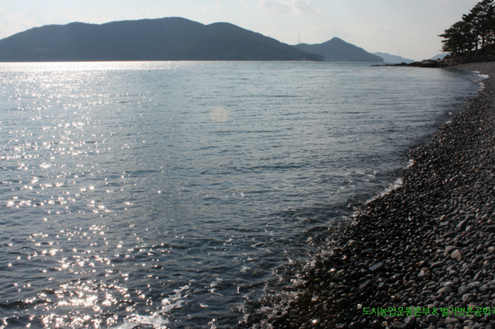 한산면 추봉도 봉암해수욕장과 겨울 텃밭