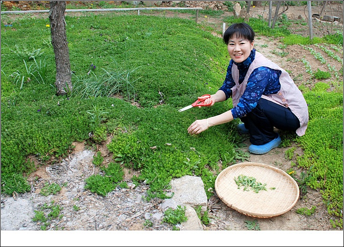 화사랑 이미지