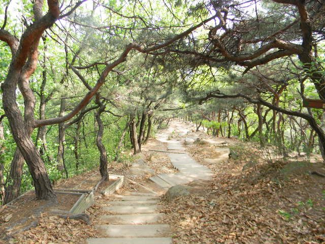 구룡산정상 조망대 이미지