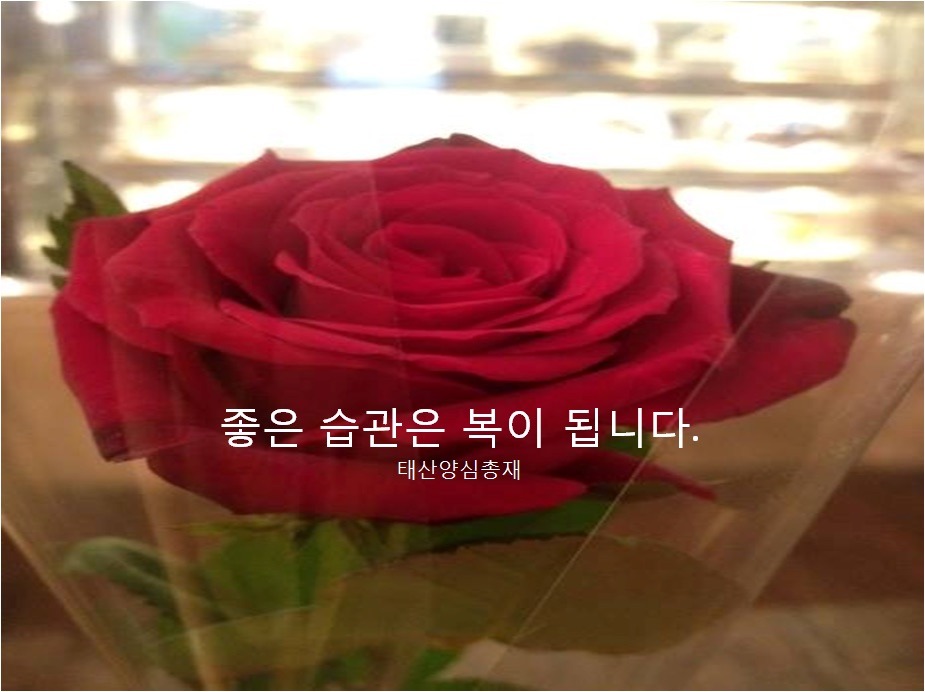 글 사진 