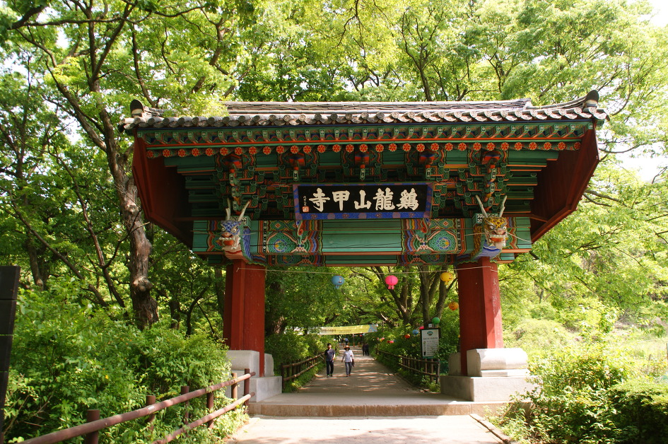 계룡산의 봄(동학사 ~ 갑사 / 15. 5. 9)