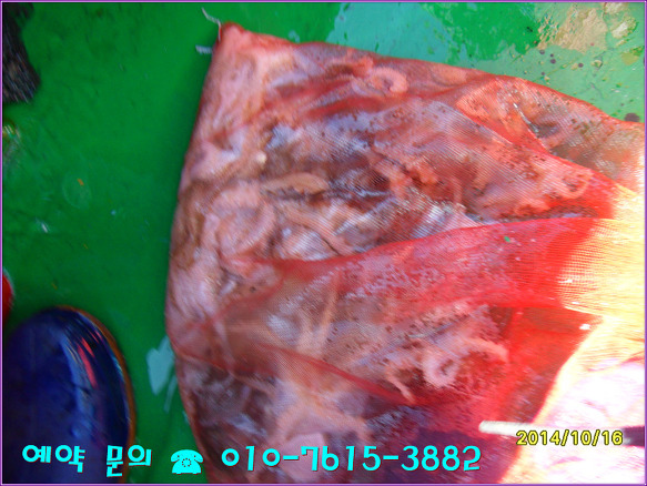 2713D33D543FE74D0C47EA