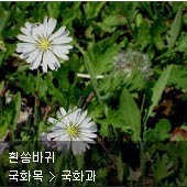 꽃이름 찾기