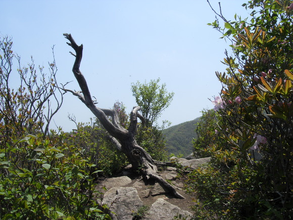 도마봉 이미지