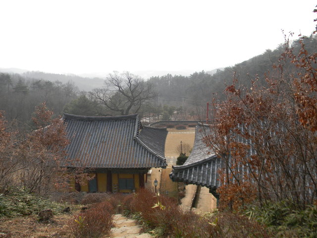 세종시 비암사 (산신각, 소조아미타여래좌상)