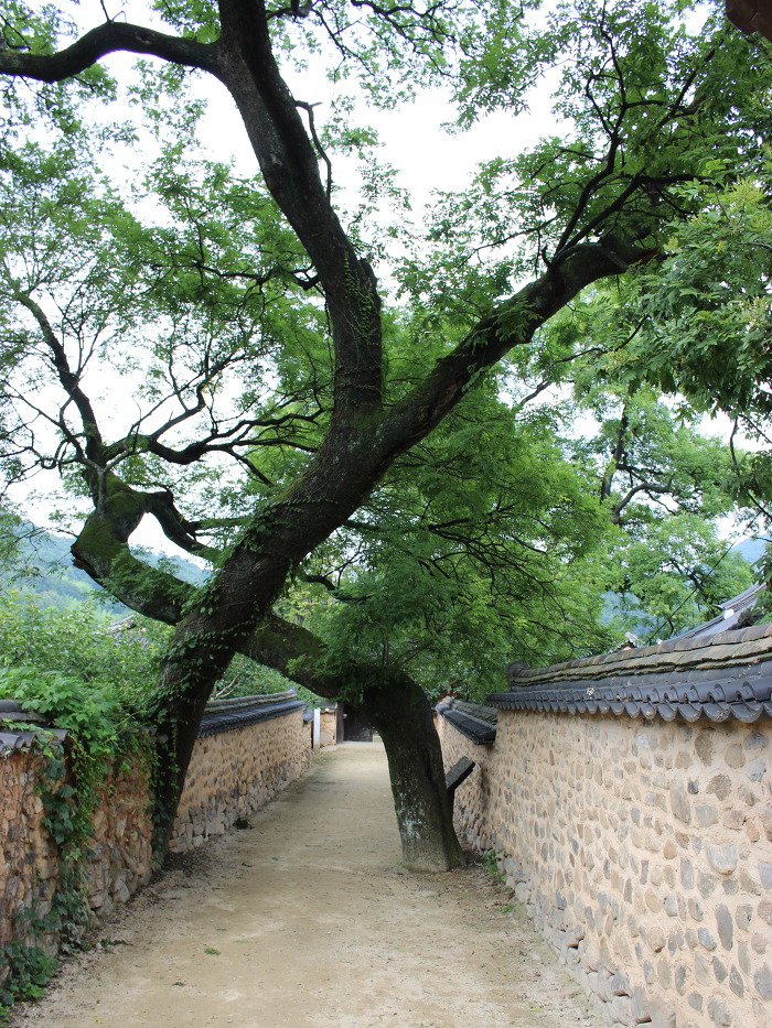 남사예담촌 이미지