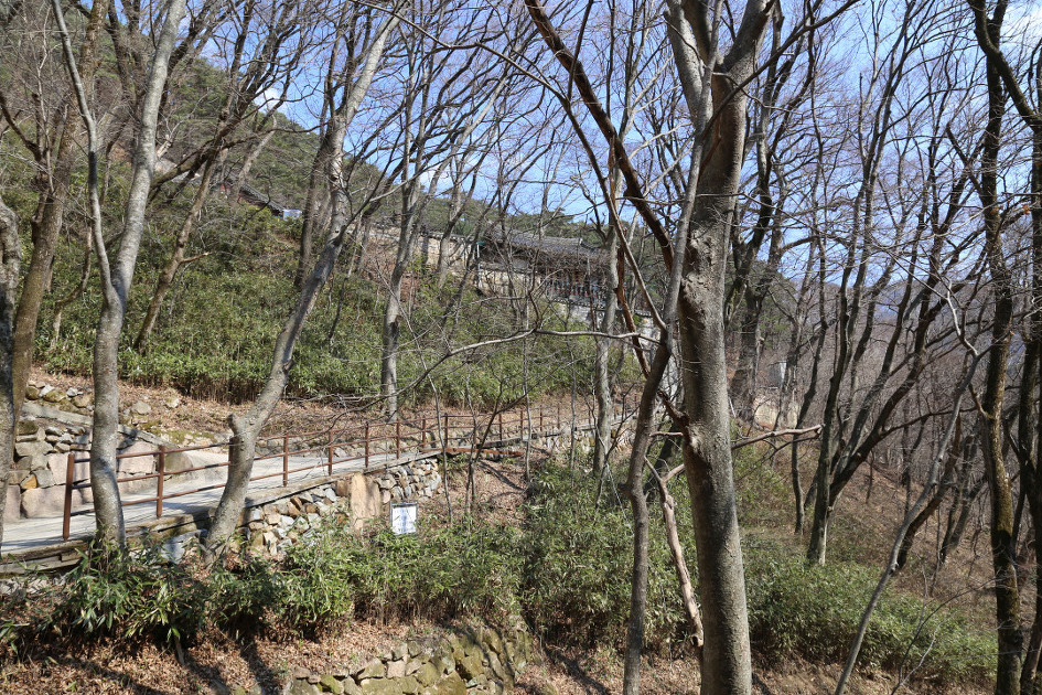 속리산(도화리/천왕봉/석문/비로봉/신선대/문수봉/문장대/세심정/법주사)