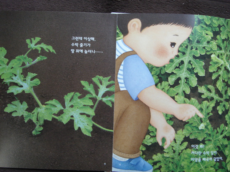 그레이트북스놀라운자연, 자연학습장이네요.놀라운자연 입니다.