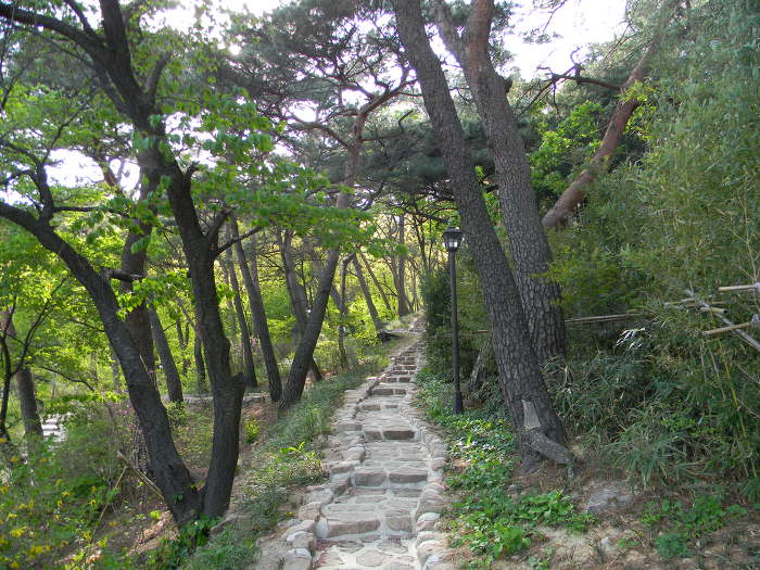 부암동 석파정 마무리 (별채, 북쪽 산책로, 소나무, 석파정, 경계벽 벽화)