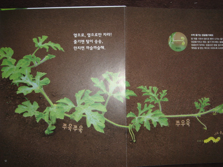 그레이트북스놀라운자연, 자연학습장이네요.놀라운자연 입니다.