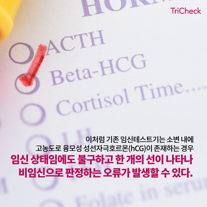 임신테스트기 후크 현상(Hook Effect)이란 무엇인가?