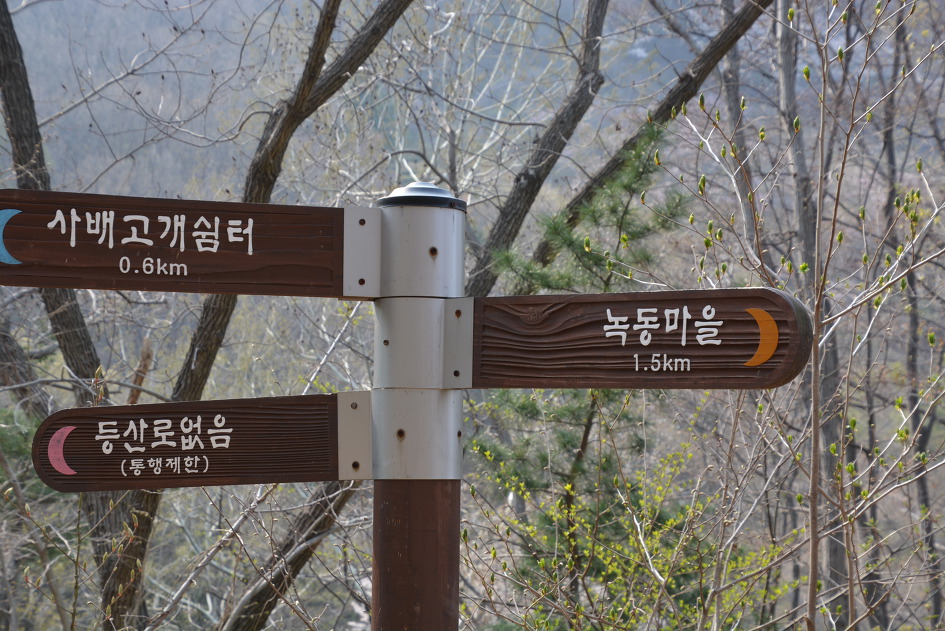 금정산 얼레지