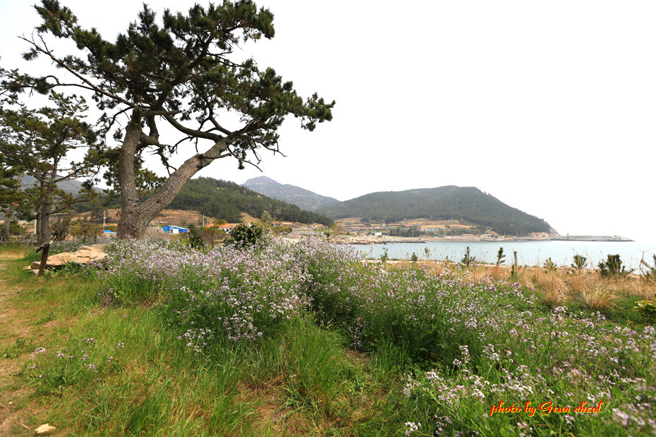 느림의 쉼표..청산도..2019.04.07 