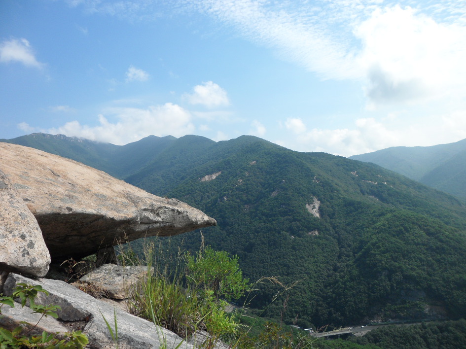 백운산~가지산~쇠점골 2013-08-25