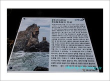 동해 해안길을 따라
