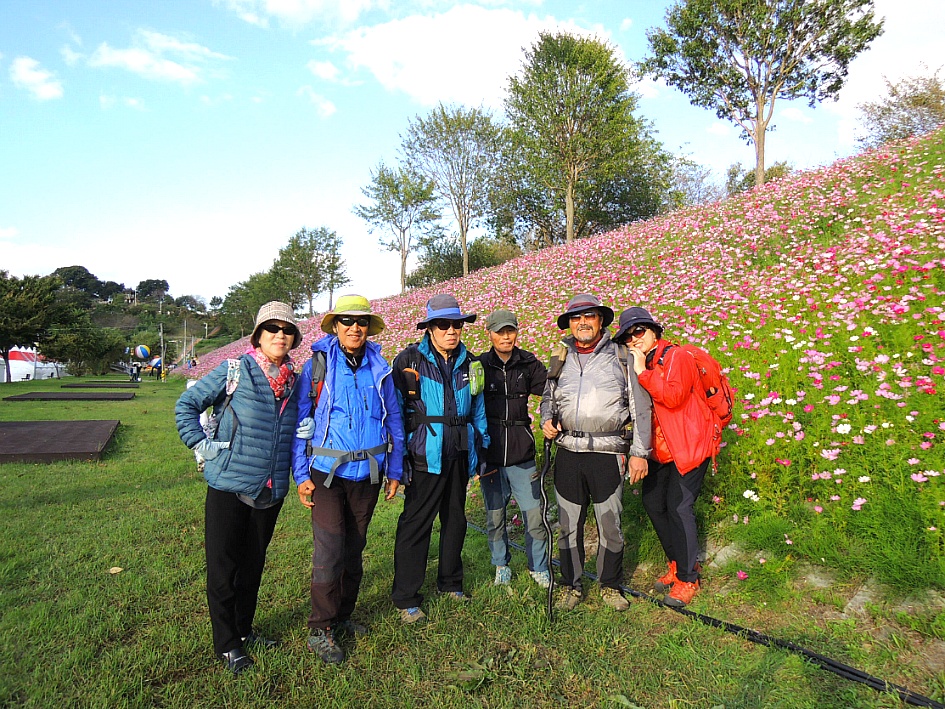 강경 포구길 젓갈축제
