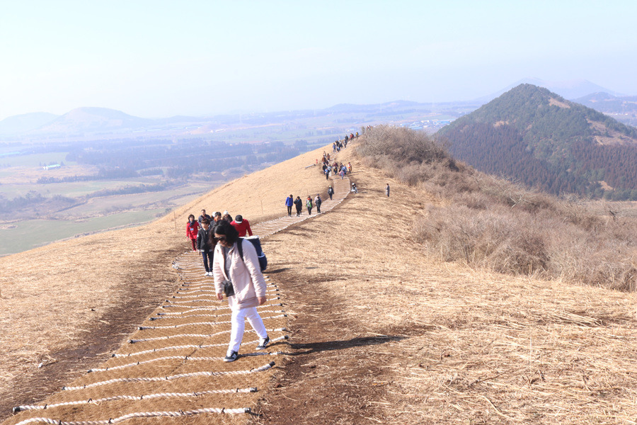 한국마스터가드너 제주 김학우정원과 새별오름 투어...2019년 2월 23일