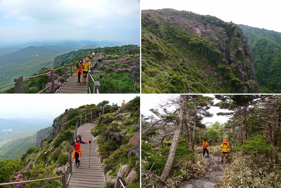 [제주]영실코스 철쭉산행