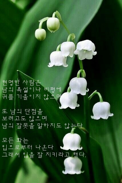 좋은글 이미지