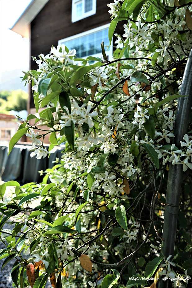 기해년 춘계 수도회 2 이미지