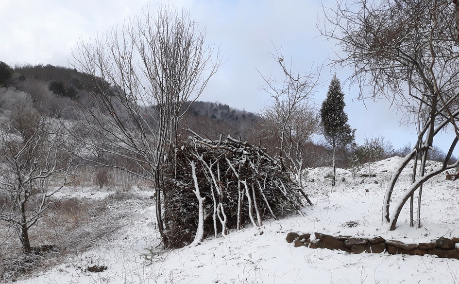 [지인께서 보내주신 눈사진] 지인께서, 오늘 오후 강풍을 동반한 눈보라가 있었다며 사진을 보내주셨네요 / 상고대님