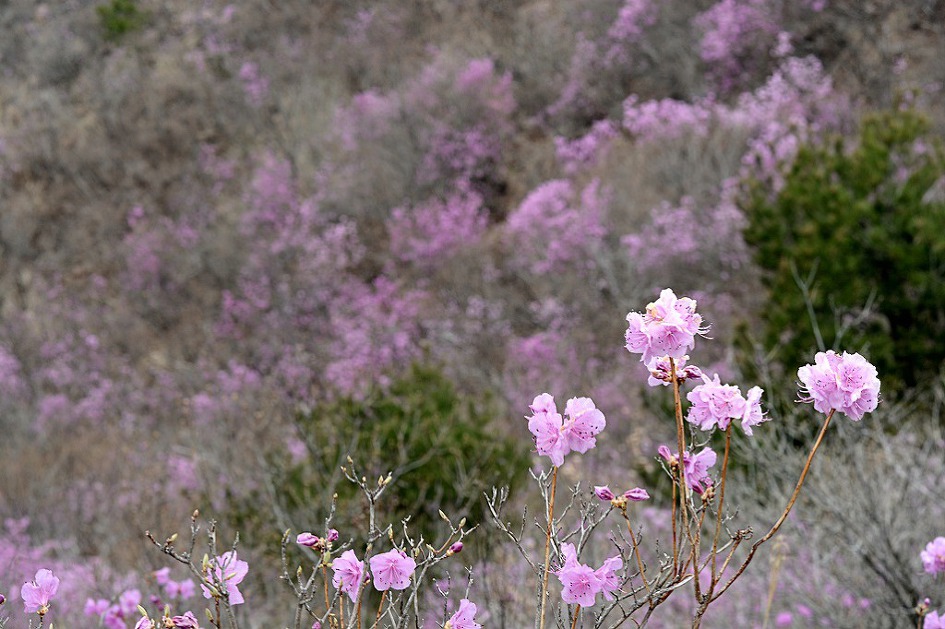 창녕 영취산