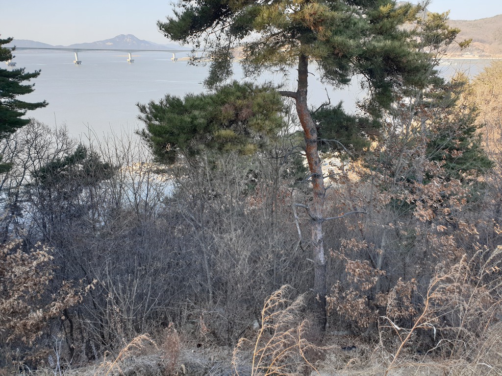 갤러리 사진