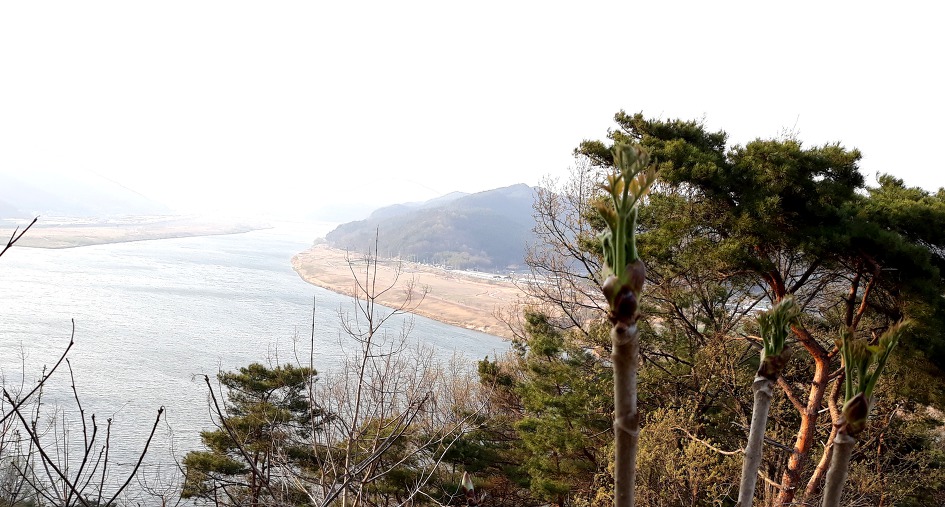 농장 꽃잔치 열렸습니다 