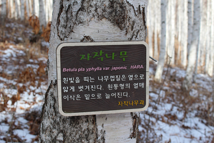 원본이미지(클릭)