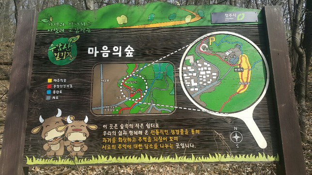 2019 청주벚꽃 즐기기(4/4~)