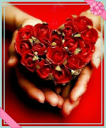 ***채희/사랑인 것을***