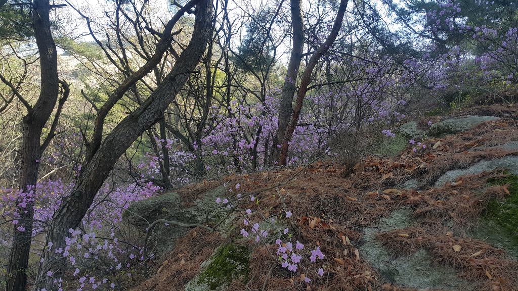 불암산둘레길 불암산진달래길 불암산정상 불암산