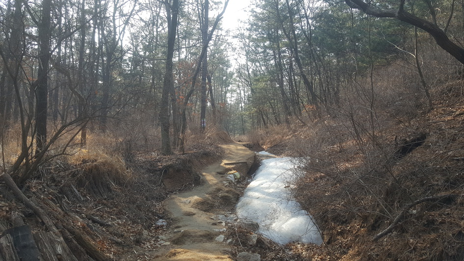 도봉옛길~방학동길 걷기/2019.02.24