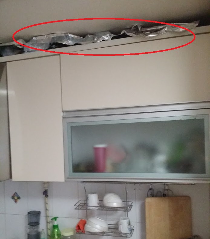 장마 우기, 여름 대책