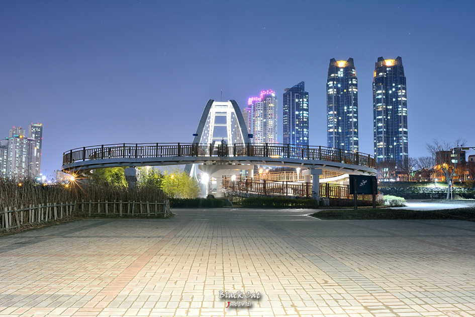 푸른밤(Delight 137)-울산태화강야경