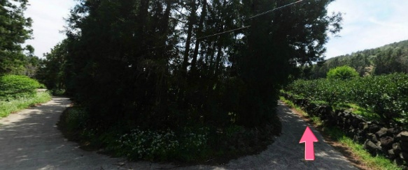 22년보유 중문관광지와3대호텔있있는 서귀포색달동토지 급매(여유자금투자방)