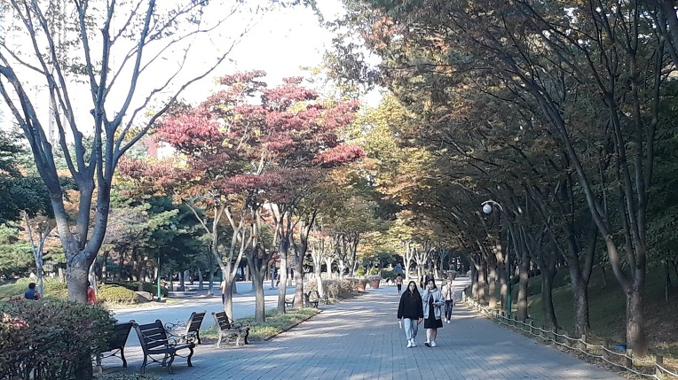 뻐꾸기 우는길
